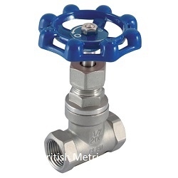 SGV-2 Globe Valve 2 BSPP 316ss