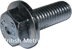 FLANGED HEX HEAD